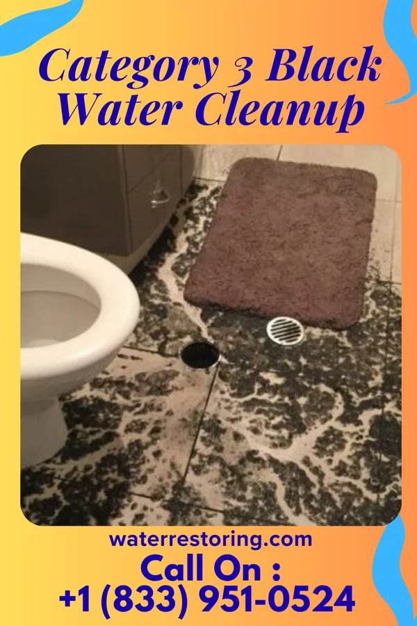 Category 3 Black Water Cleanup in Phenix City, AL